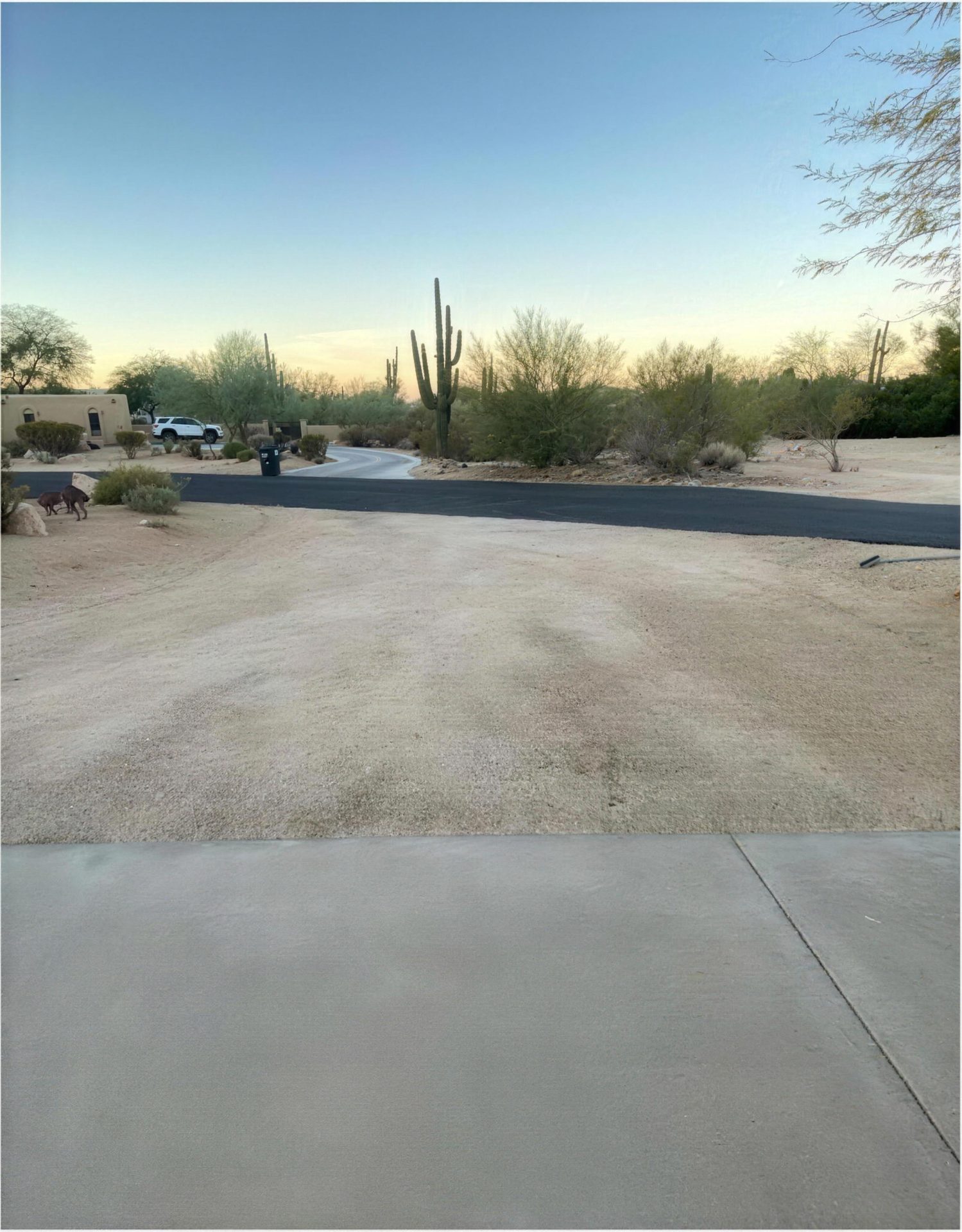 Before: bare graded dirt where the driveway meets the road